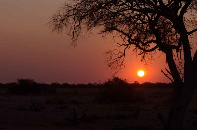 65 - Namibia - parque nacional de Etosha - atardecer